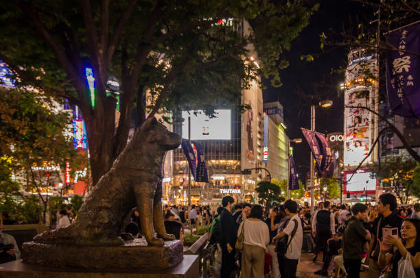 Hachiko dog statue in front of Shibuya station, Tokyo Hachiko dog statue in front of Shibuya station, Tokyo during night. Statue was sculpted in 1934 by Teru Ando. In this picture we can locals and tourist walking around it and taking pictures. This is the landmark and famous destination for tourist attraction. tokyo crowds on the famous shibuya crossing japan stock pictures, royalty-free photos & images