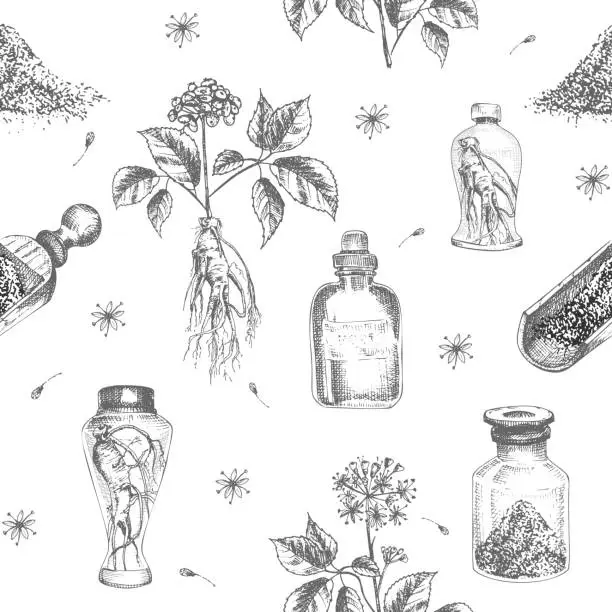Vector illustration of Seamless pattern hand drawn of ginseng roots, lives and flowers in black color isolated on white background. Retro vintage graphic design Botanical sketch drawing, engraving style
