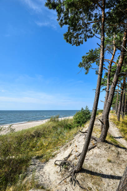 istock Summer sea landscape 1093575670