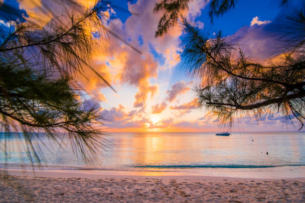 istock Sunset in between trees on the caribbean sea 1093586230