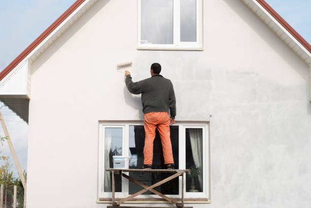 worker is painting a wall construction worker is painting a wall with a roller steeplejack stock pictures, royalty-free photos & images