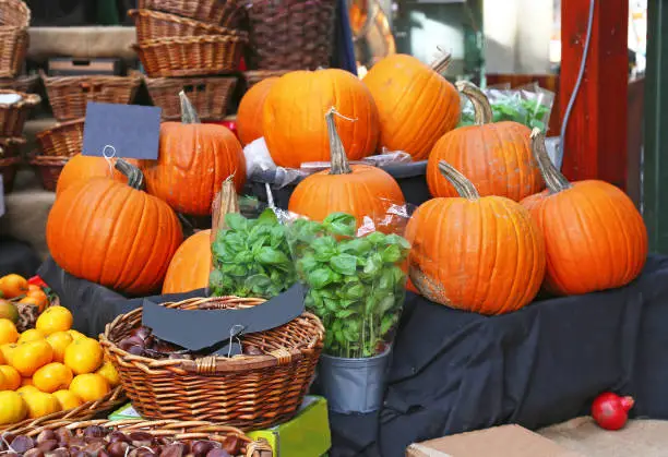 Photo of Halloween pumpkins and other fruits at the Borough market in London city