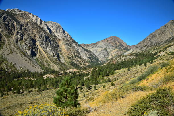 istock Valley in Yosemite National Park 1093596054