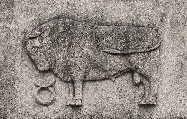 istock Zodiac - Taurus or Bull, a stone relief on ancient wall 1093600728