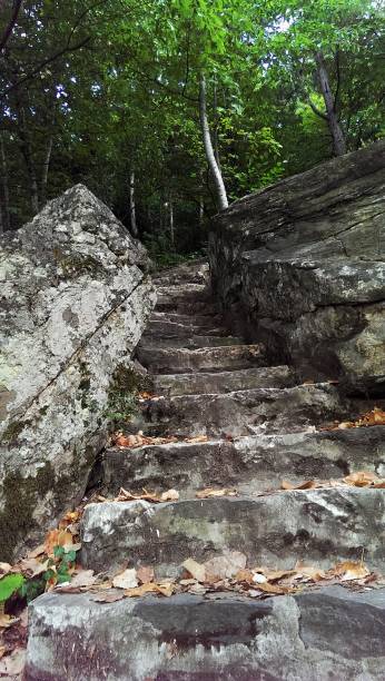 istock mossy stairs in the park 1093605122