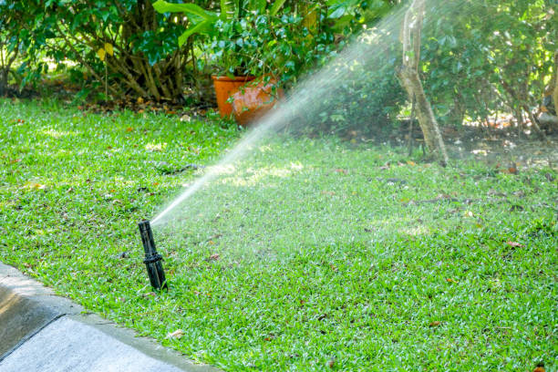 istock Springer water system in the garden 1093606140