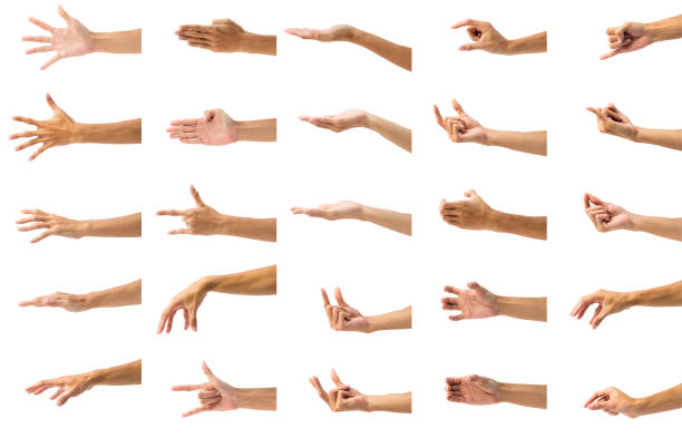 istock Collection of man's hand gesture isolated on white background. 1093606184
