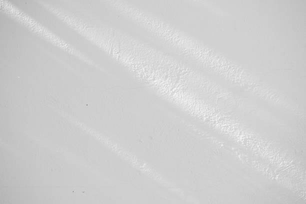 Black and White abstract background textuer of shadows leaf on a concrete wall