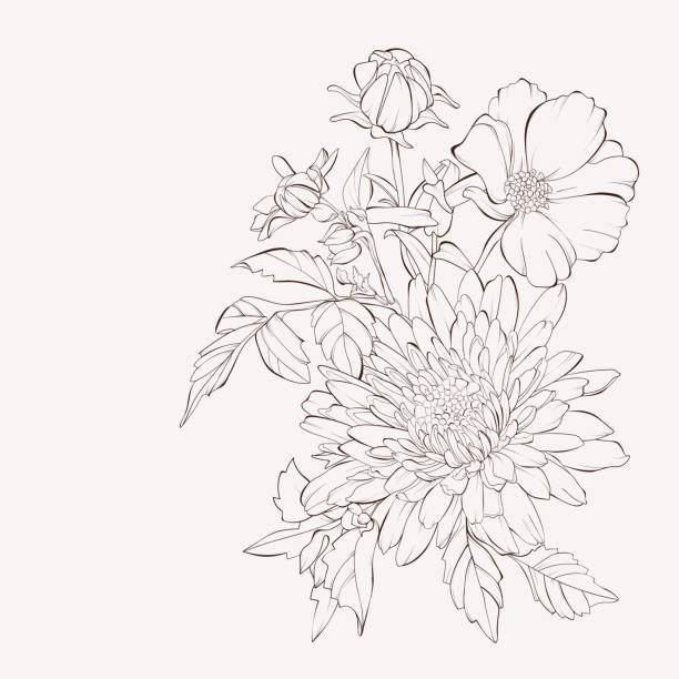 ilustrações de stock, clip art, desenhos animados e ícones de vector dahlia flower.  autumn flowers bouquet.  element for design. hand-drawn contour lines and strokes. - dália