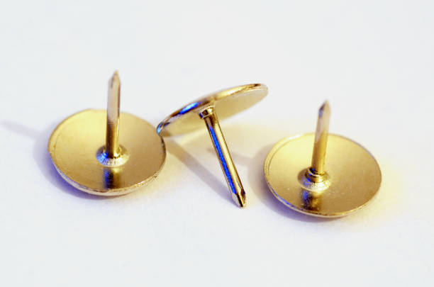 istock needle for fastening sheets of paper. 1093626802