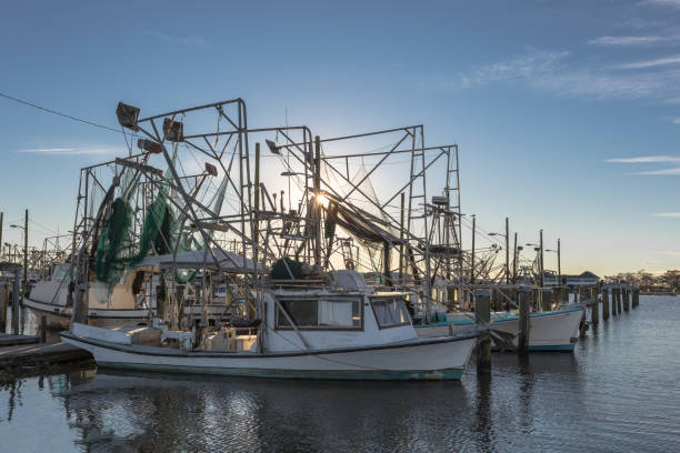 istock Shrimping boats at rest on empty docks as sun sets 1093627542