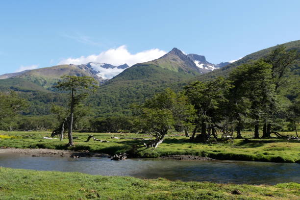 istock River and trees in the mountains 1093628060