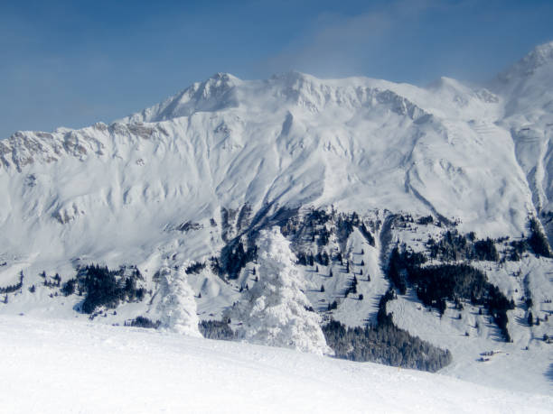 istock Trees covered in white snow right after a snowfall on the Swiss Alps - 5 1093631256