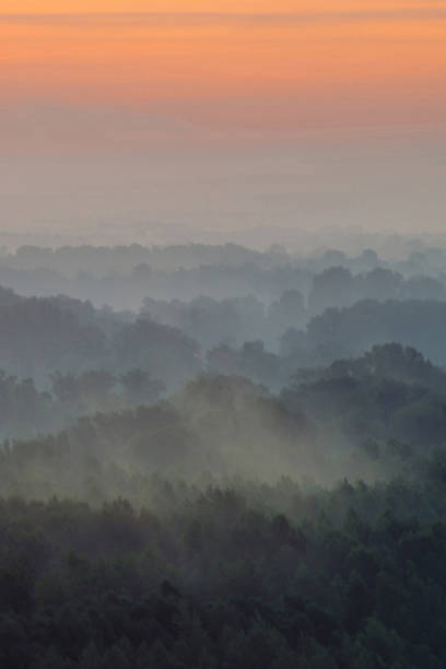 istock Mystical view from top on forest under haze at early morning. Mist among layers from tree silhouettes in taiga under predawn sky. Calm morning atmospheric minimalistic landscape of majestic nature. 1093631454
