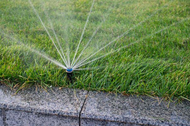 istock Installation modern garden irrigation system watering lawn 1093634286