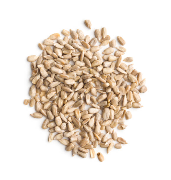 istock Peeled sunflower seeds 1093640552