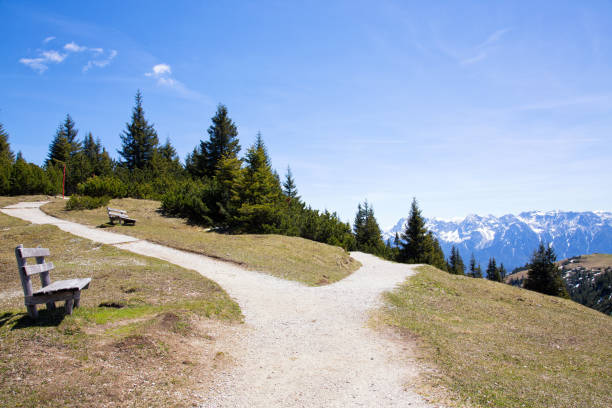 istock Wank sun plateau in early spring in Germany 1093645090