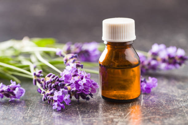 istock Essential oil and lavender flowers 1093645134