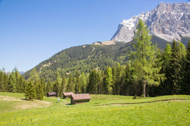 prati alp intorno alla catena montuosa di zugspitze in austria - wetterstein mountains summer hut european alps foto e immagini stock
