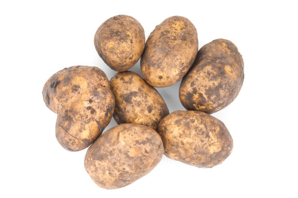 istock Ripe potatoes isolated on white background 1093651376
