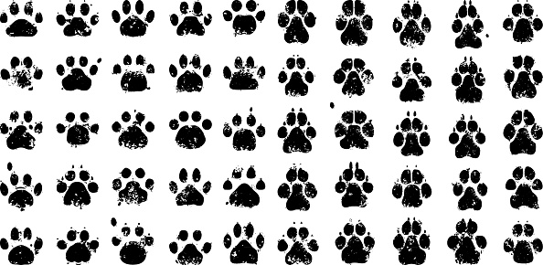 Paw prints. Cats to the left, dogs to the right.