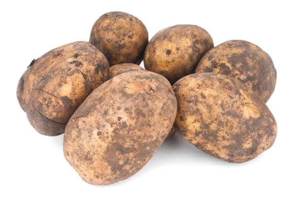 istock Heap of fresh organic potatoes on white background 1093652116