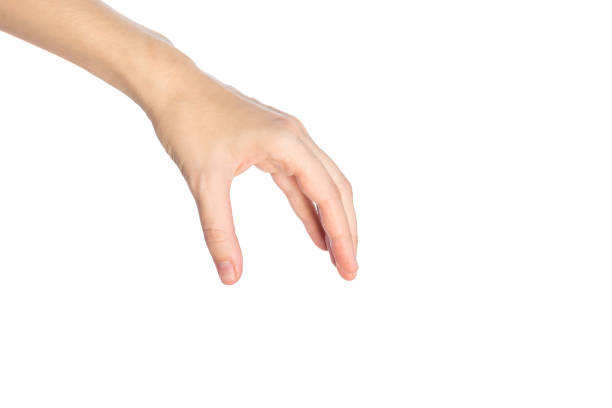 istock Woman hand show picking or take something gesture isolate on a white background 1093655766