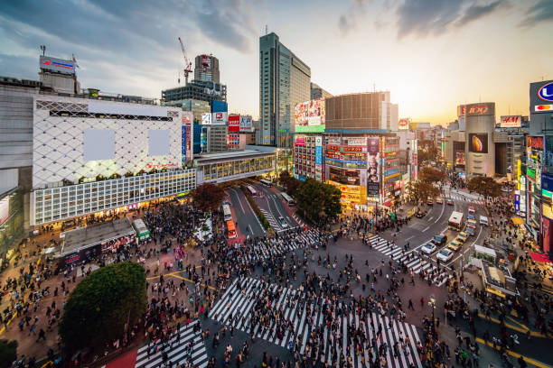 空撮渋谷東京日本 - 十字路 ストックフォトと画像