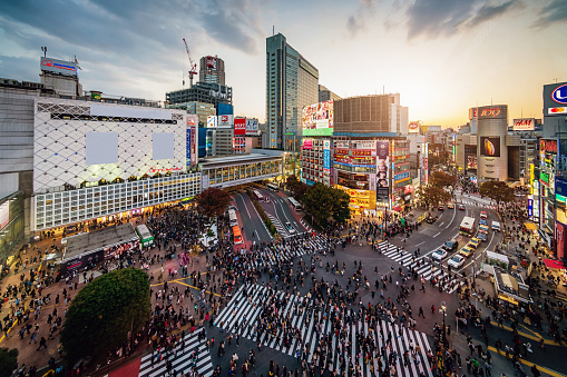 Aerial View Shibuya Crossing Tokyo Japan