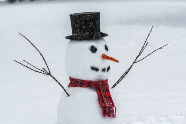 istock A snowman in the backyard as it is snowing 1093658634