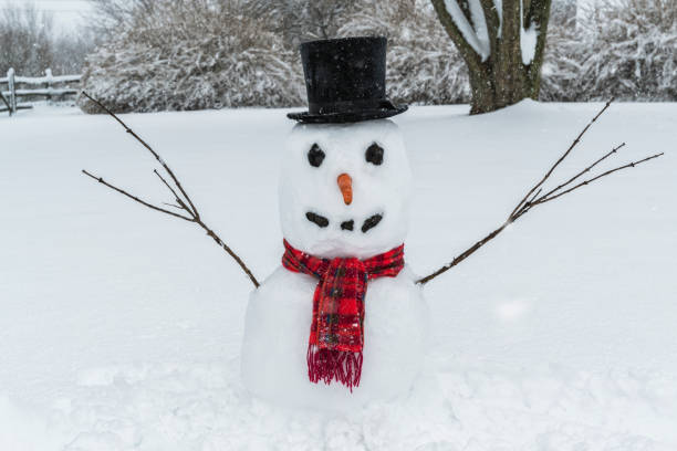 A snowman made wearing a black top hat and a red scarf, with tree branches for arm, a carrot for a nose and lumps of coal for his eyes and mouth sitting in the backyard as it is snowing