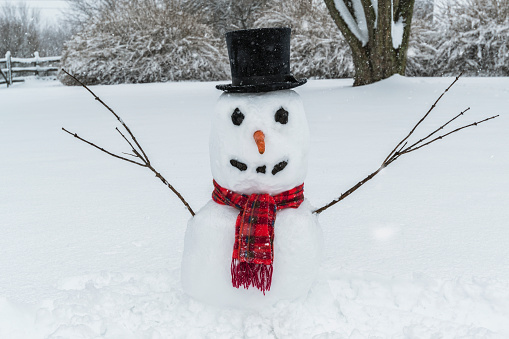 A snowman made wearing a black top hat and a red scarf, with tree branches for arm, a carrot for a nose and lumps of coal for his eyes and mouth sitting in the backyard as it is snowing