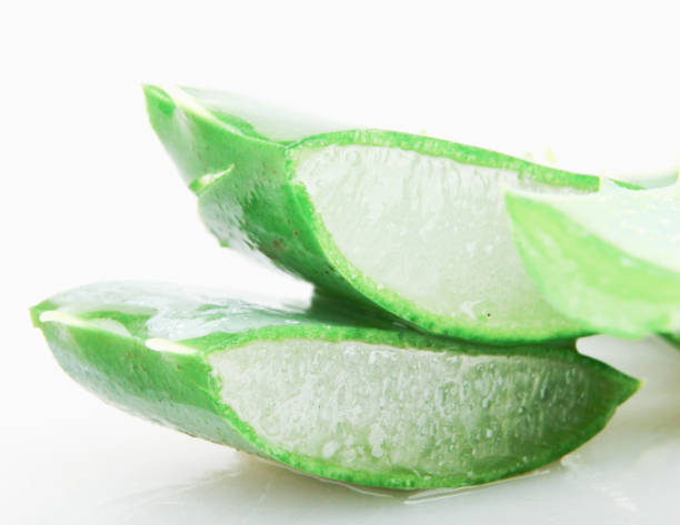 istock Aloe Vera Plant 1093658946