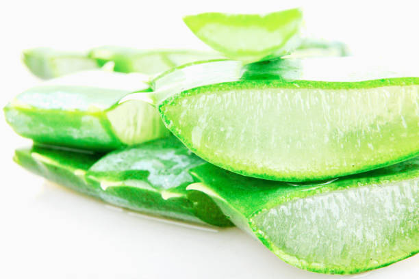 istock Aloe Vera Plant 1093658958