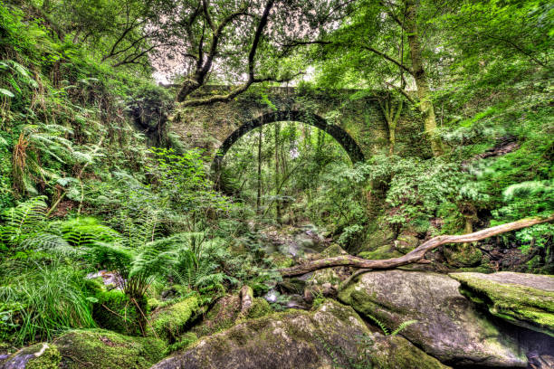 Old stone bridge in 'Fragas do Eume' Naturalpark, Galicia (Spain)