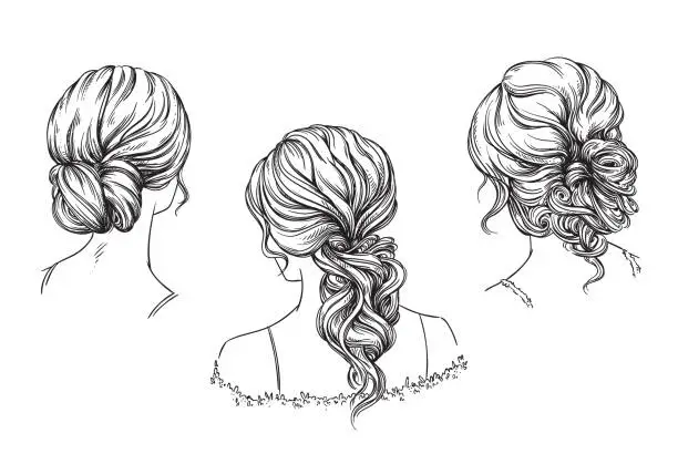 Vector illustration of Bridal hand drawn hairstyles, vector illustration