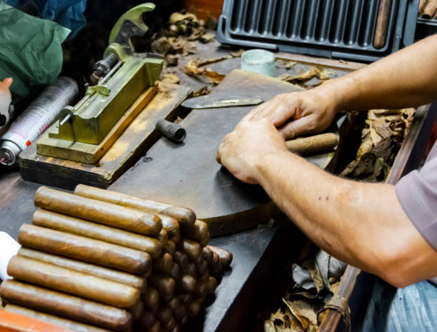 fabrication traditionnelle de cigares à la manufacture des tabacs. agrandi de vieilles mains faisant un cigare de feuilles de tabac dans une manufacture de cigares traditionnels. gros plan des mains faisant un cigare de feuilles de tabac. - hand rolled photos et images de collection