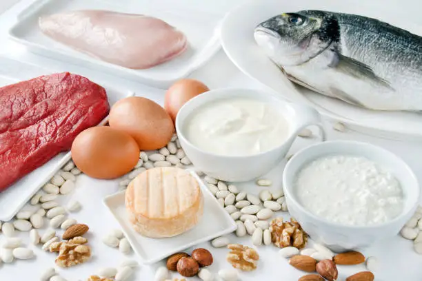 Food rich in protein close up
