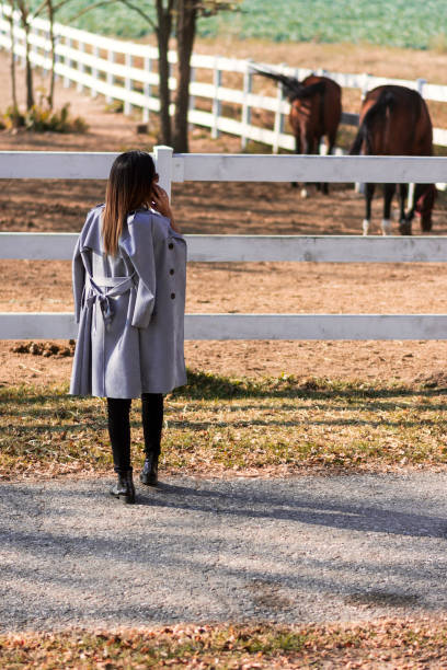 istock beautiful day at the ranch 1093667356