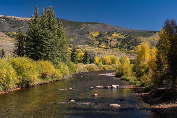 istock Autumn Colors at the Blue River in Summit County, Colorado 1093678604