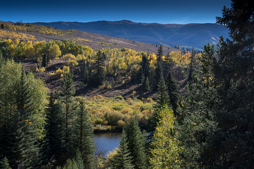 The beginning of fall along the Blue River in Silverthorne, Summit County, Colorado in the Rocky Mountains