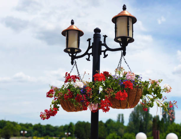 istock garden park outdoor lights decor with hanging blooming geranuim 1093679396