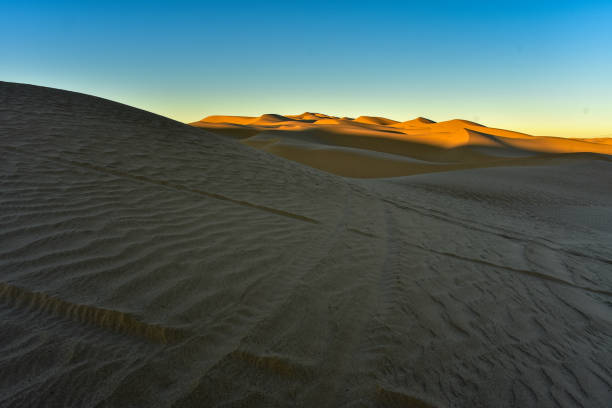 istock sand dunes landscape early morning light 1093679812
