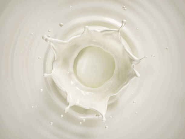 Milk crown splash in milk pool with circular ripples viewed from the top. stock photo