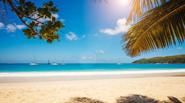 istock Art Beautiful sunset over the tropical beach 1093684018