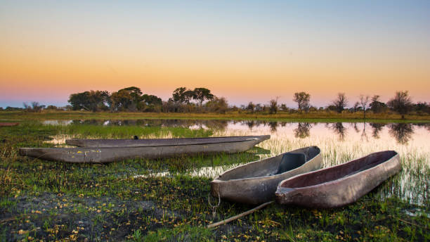 istock Landscape Views of the Okavango Delta Mocorros 1093685436