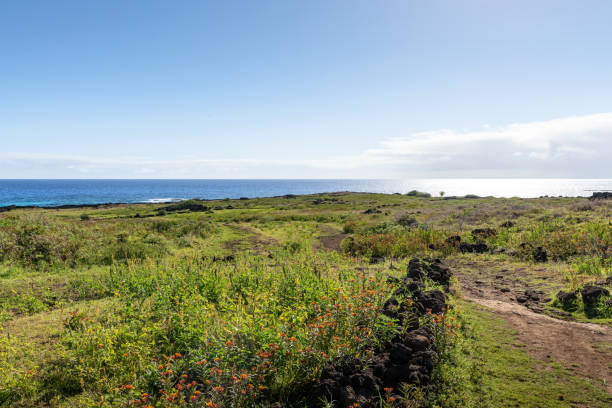 istock Ahu Te Pito Kura Easter Island 1093686076