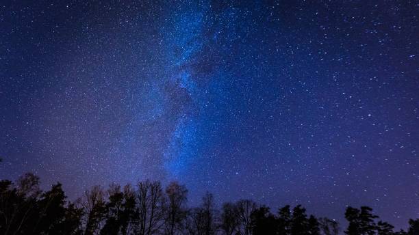 istock Beautiful night sky with Milky Way over forest. 1093686120
