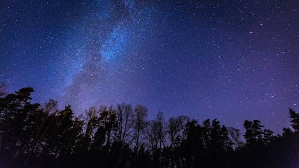 istock Beautiful night sky with Milky Way over forest. 1093686218