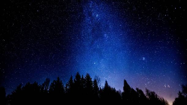 istock Beautiful night sky with Milky Way over forest. 1093686344